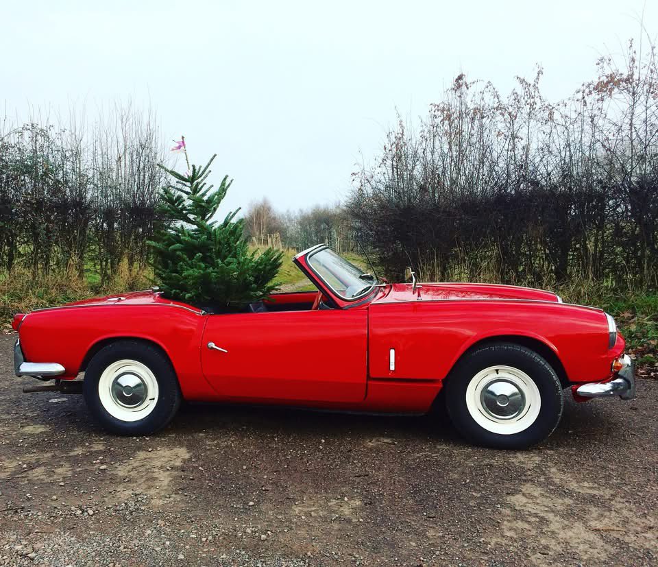 TriumphSSixClub's tweet photo. Wow........🎄 'tis Christmas Eve, if you haven't got your tree &amp; decorations up yet ....... you may need to get a wiggle on. 😉
Good job we have such Practical Classics to help collect the tree.
Have a great day 🙃
🎄🎄
#TSSC #Triumph #Christmas24 #Practicalclassic https://t.co/OU1n9pSvBj