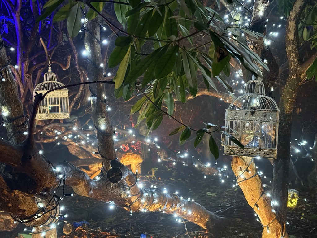 zoecorkhill's tweet image. Overall, the botanical garden’s light show was both pretty and entertaining, providing a family-friendly event suitable for younger kids as well as older tweens and teens.

Read more 👉 bit.ly/3OZKweb

#Luminate #LightTrail #BirminghamBotanicalGardens