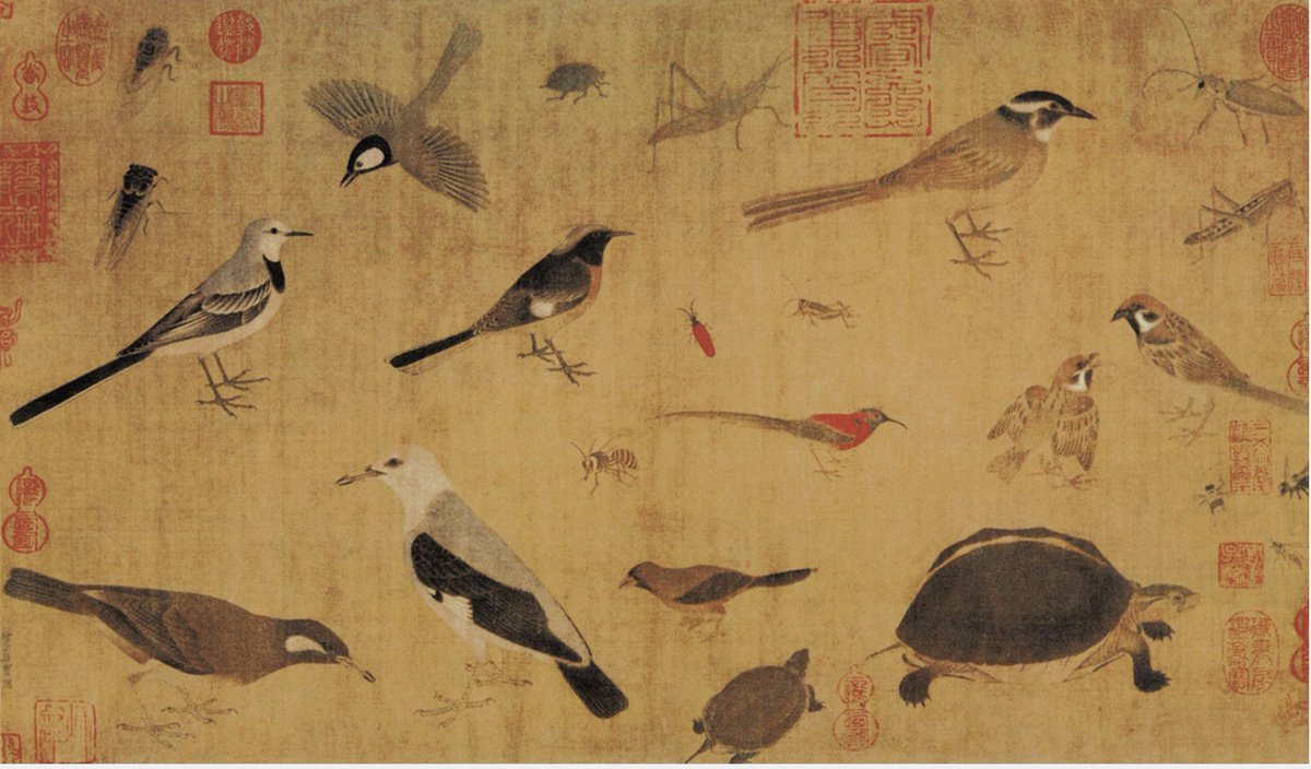 AOS_ALB's tweet image. Another year of birding across Albania, exploring its most remarkable birds and habitats has come to an end. As 2024 draws to a close and 2025 approaches, we want to take a moment to pause, reflect, and share a few thoughts with you, our friends, about AOS—a natural evolution of…