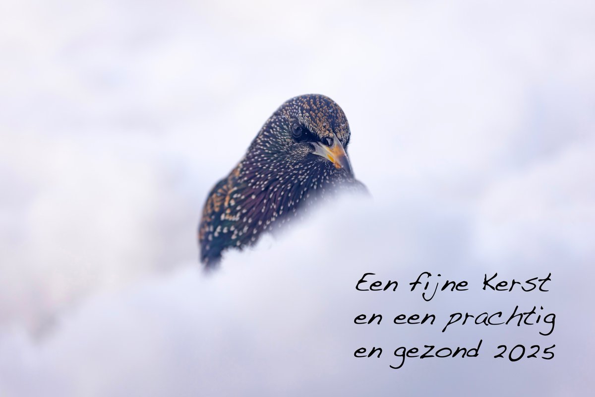 Jogchum Vrielink tweet media