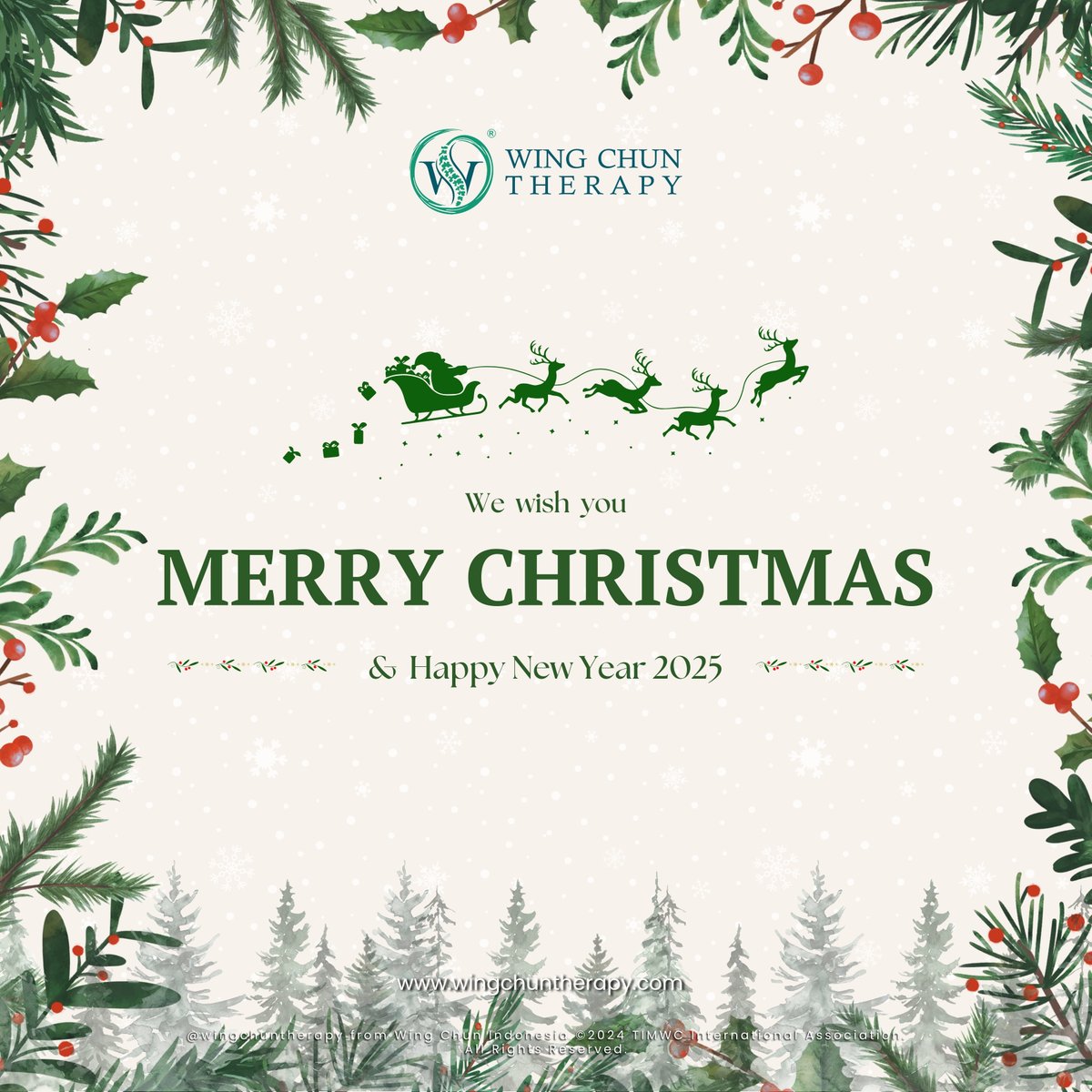 Wing Chun Therapy tweet media