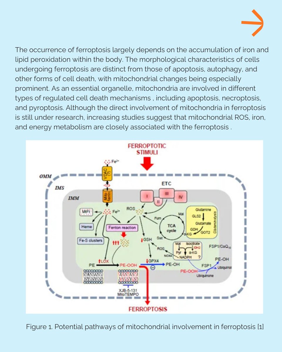 Elabscience Bionovation Inc. tweet media