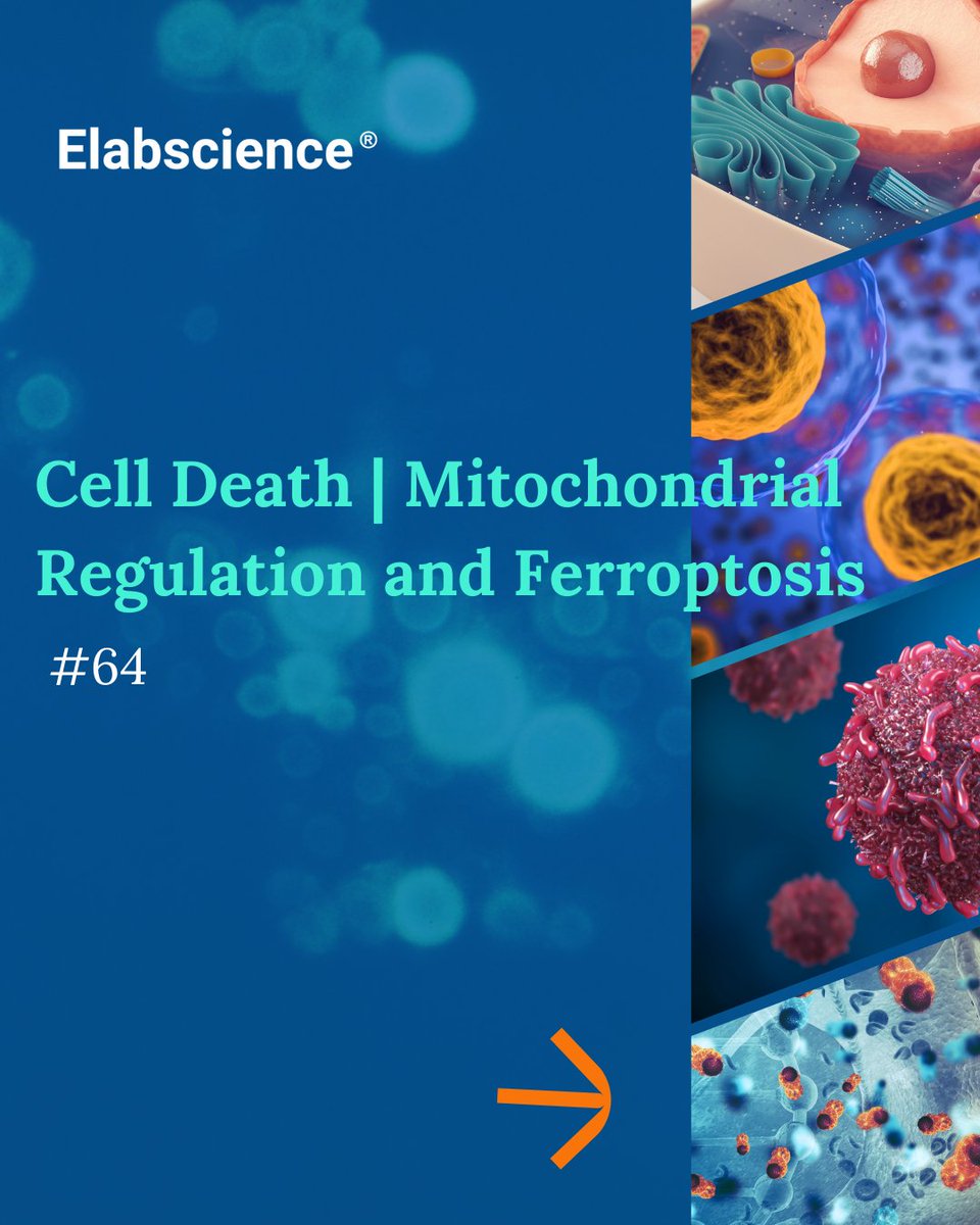 Elabscience Bionovation Inc. tweet media