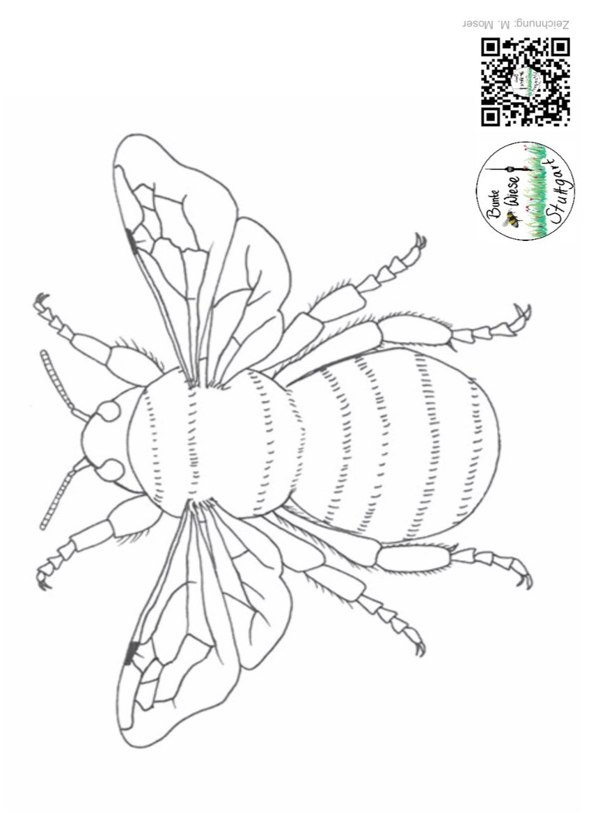 Michael Weiß (@mweiss_tue) on Twitter photo Die <a href="/buntewiese_S/">Bunte Wiese Stuttgart</a>|tuttgart hat Insekten-Ausmalbilder auf ihrer Website (Link im nächsten Tweet) — super Idee.
#biodiversityrocks ...
#BuildBackBiodiversity.
#BuildBetterLives.
#BiosphereActionNOW! Die <a href="/buntewiese_S/">Bunte Wiese Stuttgart</a>|tuttgart hat Insekten-Ausmalbilder auf ihrer Website (Link im nächsten Tweet) — super Idee.
#biodiversityrocks ...
#BuildBackBiodiversity.
#BuildBetterLives.
#BiosphereActionNOW!