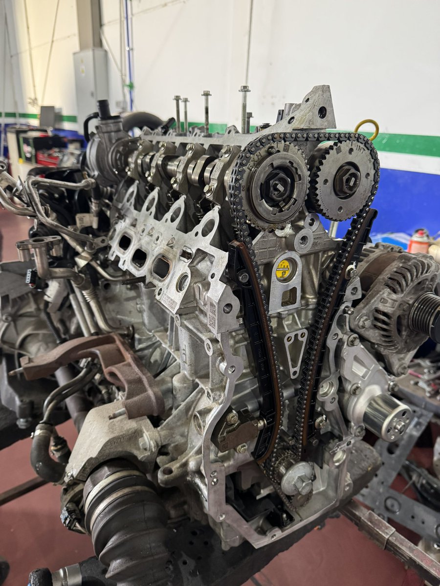 Navidad navidad 🎄 😂😂