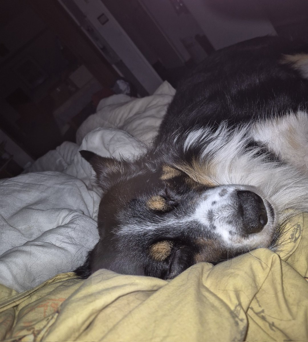 Ce matin mon bébé d'amour me faisait un gros câlin 🥰🥰🥰