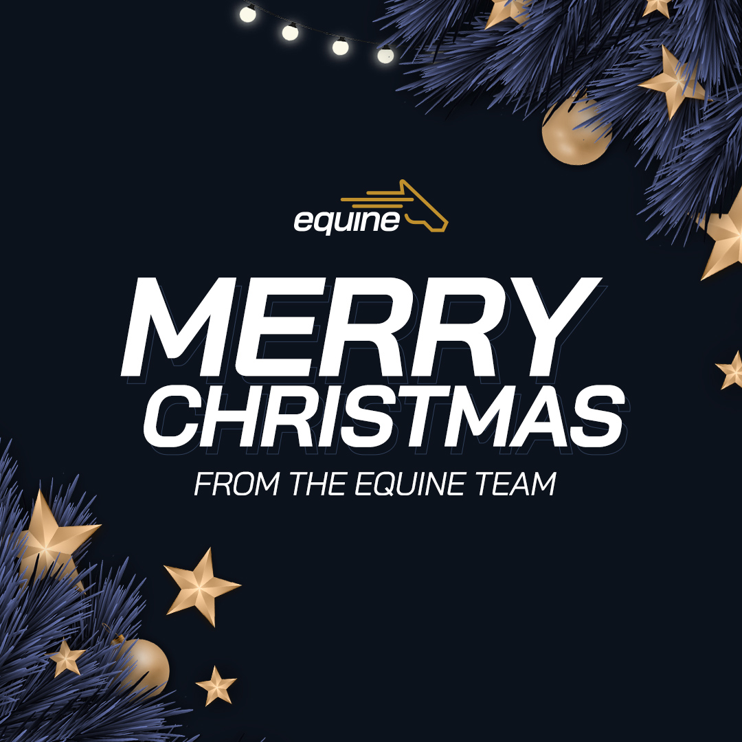 Wishing the Equine Community a Very Merry Christmas 🎄