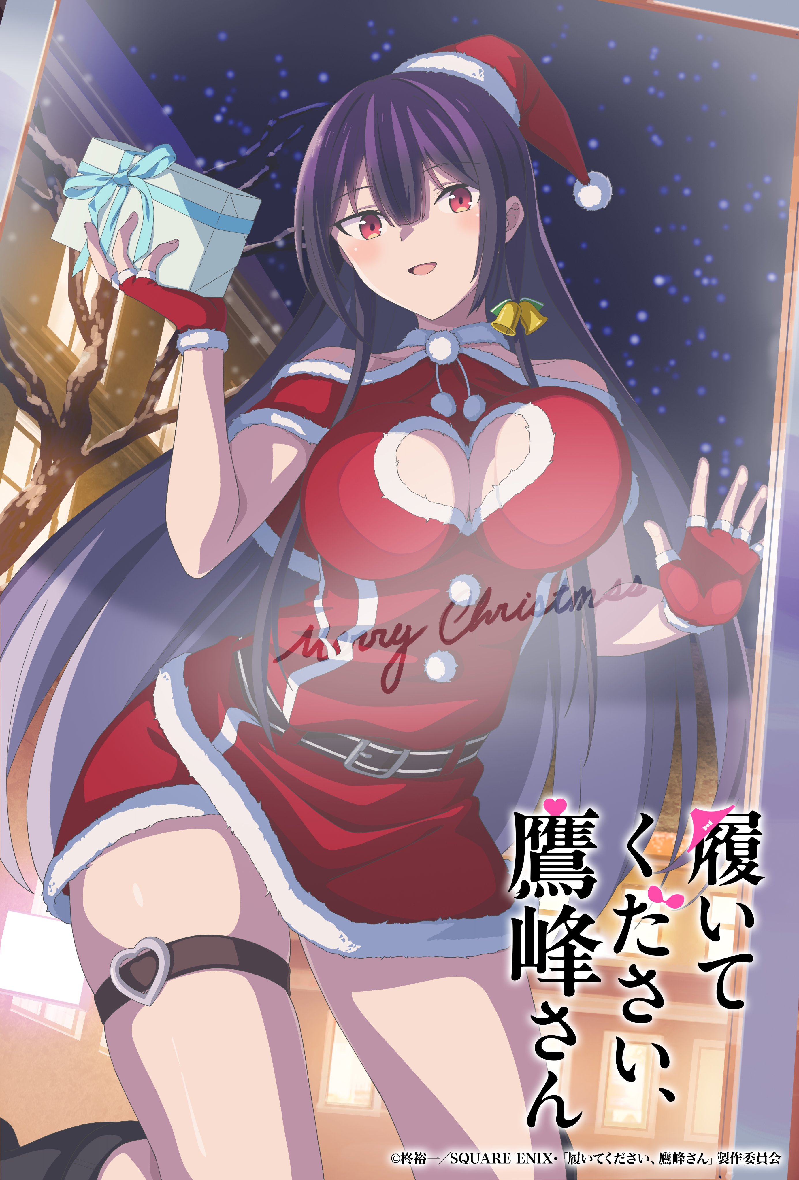 please put them on, takamine-san christmas visual