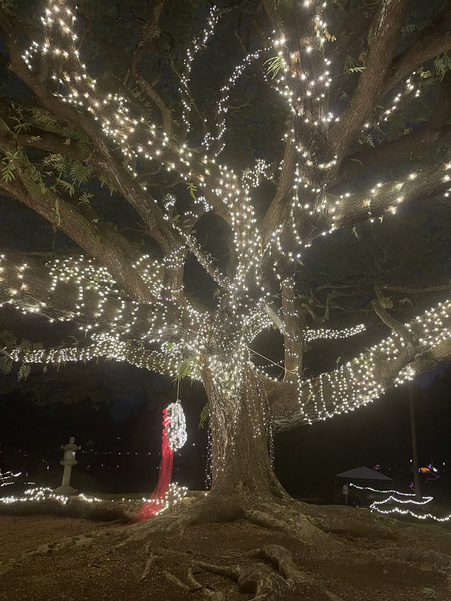 SylvieDahl's tweet photo. #aloha #Hilo #BigIsland Lili’uokalani Gardens hosts 8th annual Garden Enchantment on Mon & Tues 12/23 & 24, 6 to 9pm. Christmas lights, caroling groups, stargazing, Santa, The Grinch, Lions Clubs village, and lots of free family fun. #BeJolly https://t.co/hOqnQLInvs