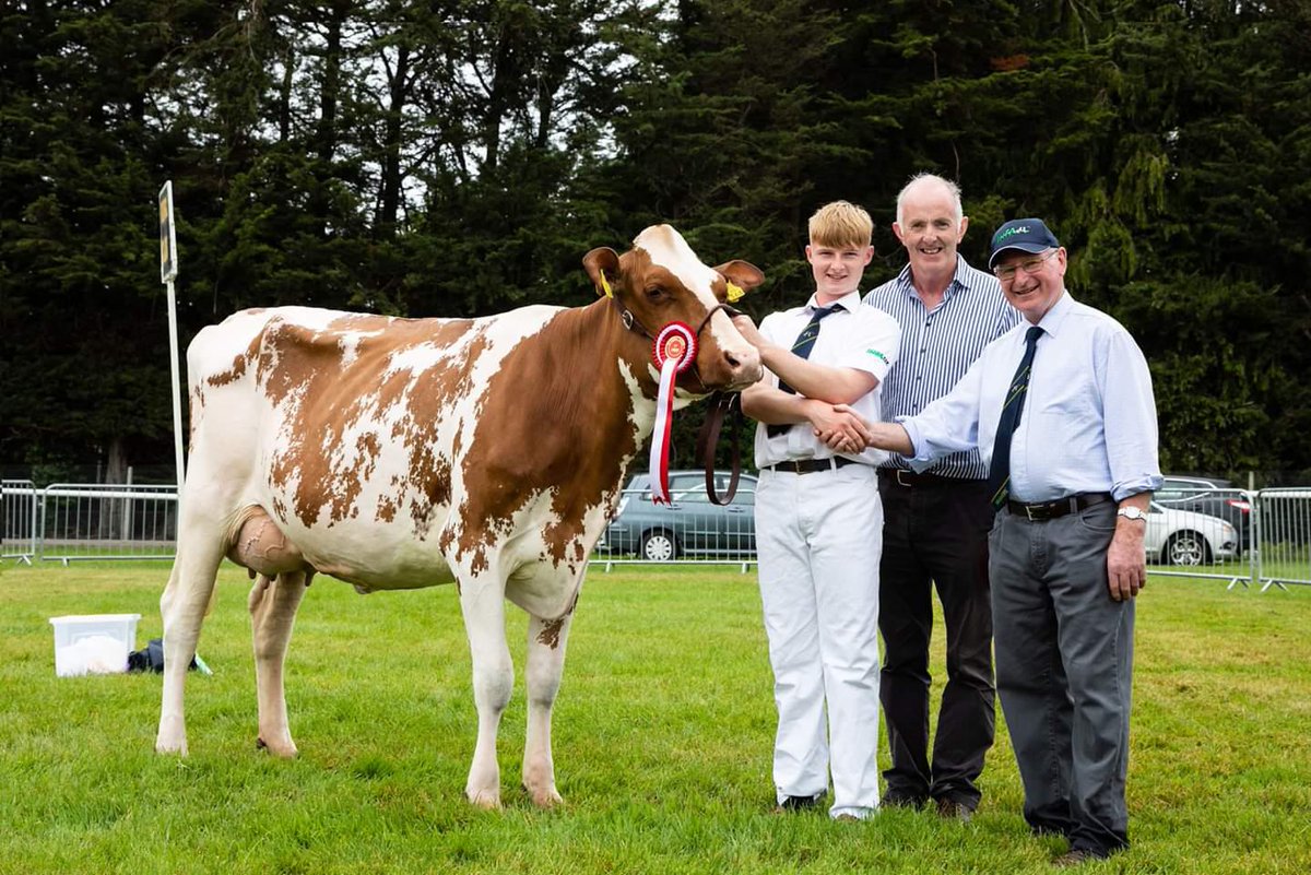 Jim Mulhall🚜🐄 tweet media