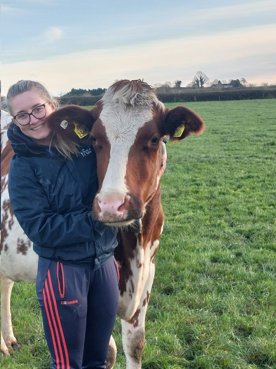 Jim Mulhall🚜🐄 tweet media