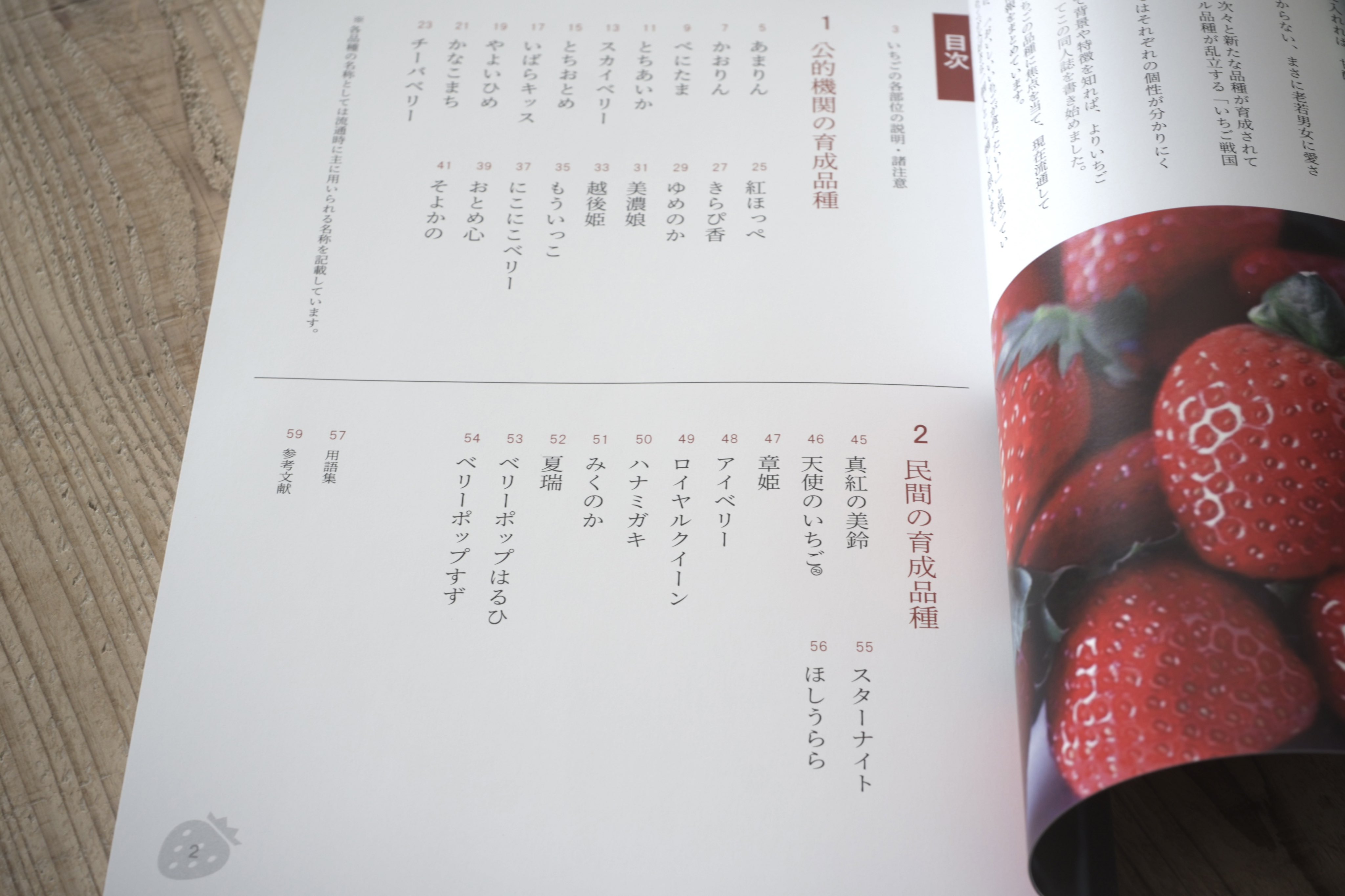 匠 (@takumi_ver4) / X