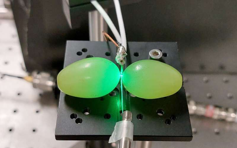 Grapes of math: Ordinary fruit enhances performance of quantum sensors

Researchers at <a href="/Macquarie_Uni/">Macquarie University</a> have discovered that ordinary supermarket grapes can enhance the performance of quantum sensors by creating strong localized magnetic field hotspots.

phys.org/news/2024-12-g…
