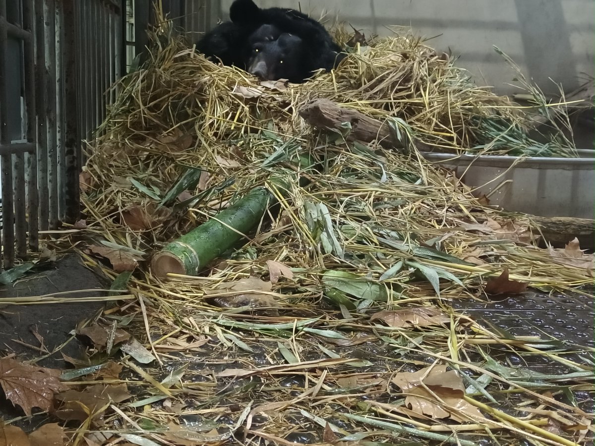 Peter Egan tweet media