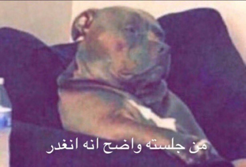 Ne_zaha's tweet photo. @M0ATH @Eyaaaad https://t.co/JZrzcbS7eq