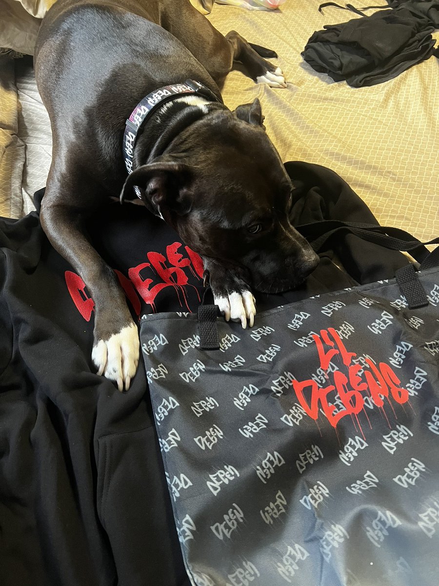 DEGEN.QUEEN 👑💕💎🔺 tweet media