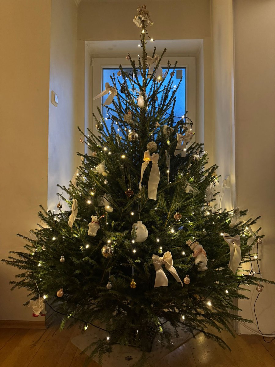 v_liina's tweet photo. Merry Christmas ! 🎄 https://t.co/2dL0f9fBMM