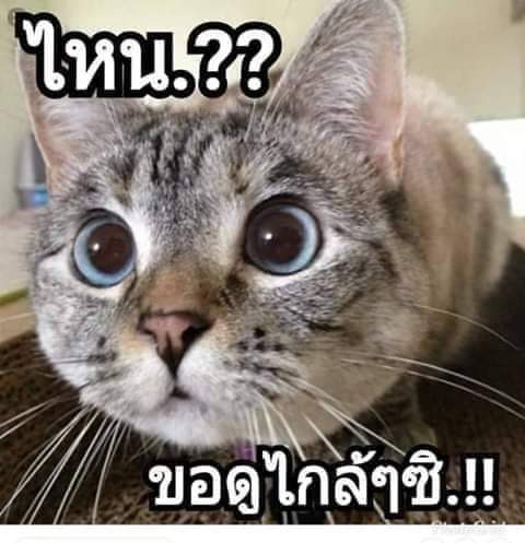 Tan76938698's tweet photo. @NuRi77470 https://t.co/oYVMpA7NZQ