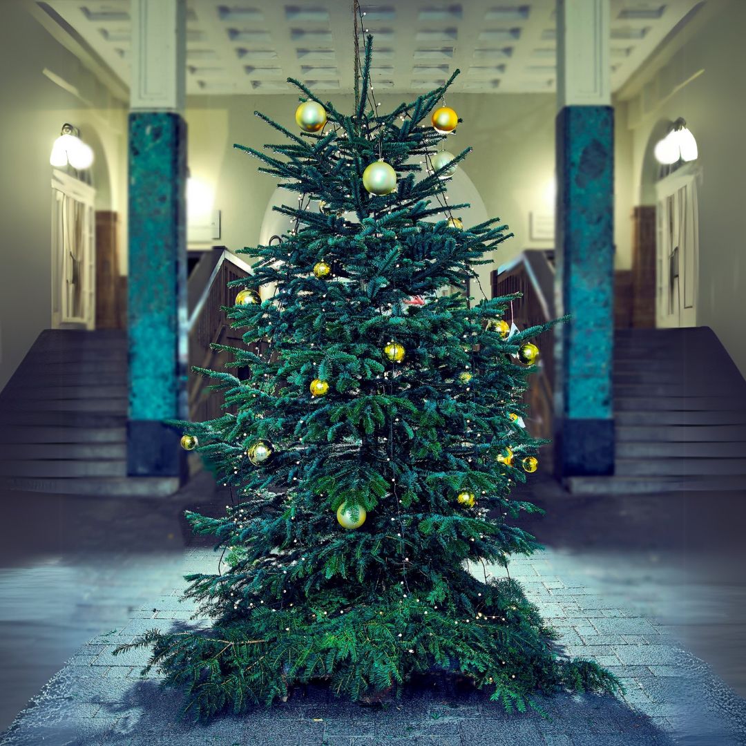 Frohe Weihnachten! 🎄✨ Wir wünschen besinnliche Festtage &amp; viel Gesundheit! ❤️ Danke an alle, die auch heute für unsere Patient:innen da sind – Ihr seid großartig! 🙏✨ #hukw #Weihnachten #CommittedToLife