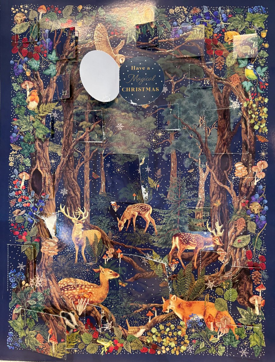 MarvellousMinds's tweet image. Day 24 of the writer&apos;s advent calendar... Happy Christmas Eve
Today&apos;s challenge is to write with freedom and passion about all the things you wish for our natural world in the coming years. Go gently, go kindly, dear writers.
#AdventChallenge
#WritingCommunity 
#WinterJoy