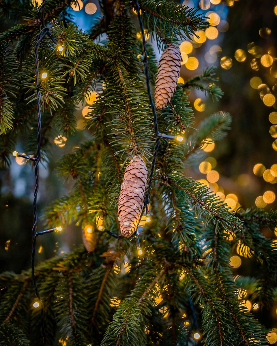 AseguradoSolidarios tweet media