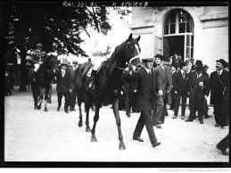 HORSERACING1002's tweet image. NIMBUS🇬🇧1946
(NEARCO - KONG BY BAYTOWN)#Nimbus
B/ William Hill🇬🇧1946
O/ Marion Glenister
T/ George Colling
YERSAL 5,000 Gns
9-6-2-1---£33,076
July S, 2000 Guineas,  Epsom Derby, Classic Trial S, 
2nd Coventry S, Champagne S.
Stood 🇬🇧 &amp;amp;🇯🇵Sired Nucleus,Aoi, Atlantida, Bright…