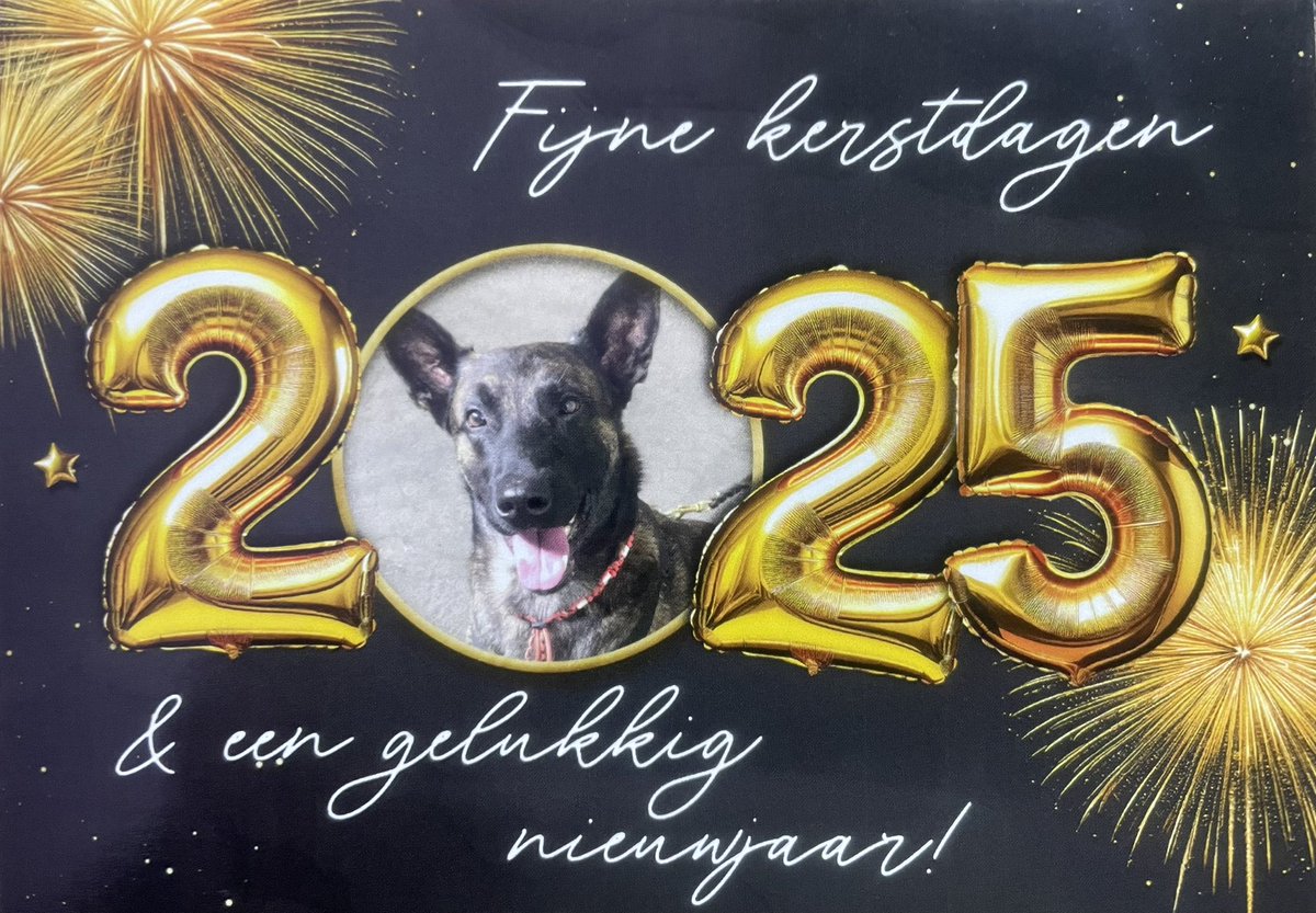 ⭐️ Wij wensen iedereen fijne feestdagen 🎄 en een mooi en gezond 2025 🍀⭐️
Tot in 2025 🍀
Team Dogs Understood
