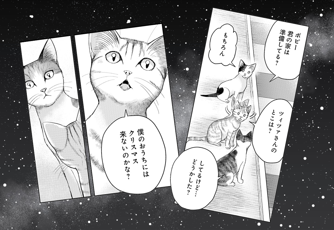生まれて初めてクリスマスを迎える子猫
「僕のおうちにはクリスマス来ないの?」 
