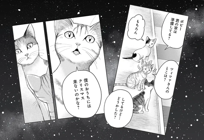 生まれて初めてクリスマスを迎える子猫
「僕のおうちにはクリスマス来ないの?」 