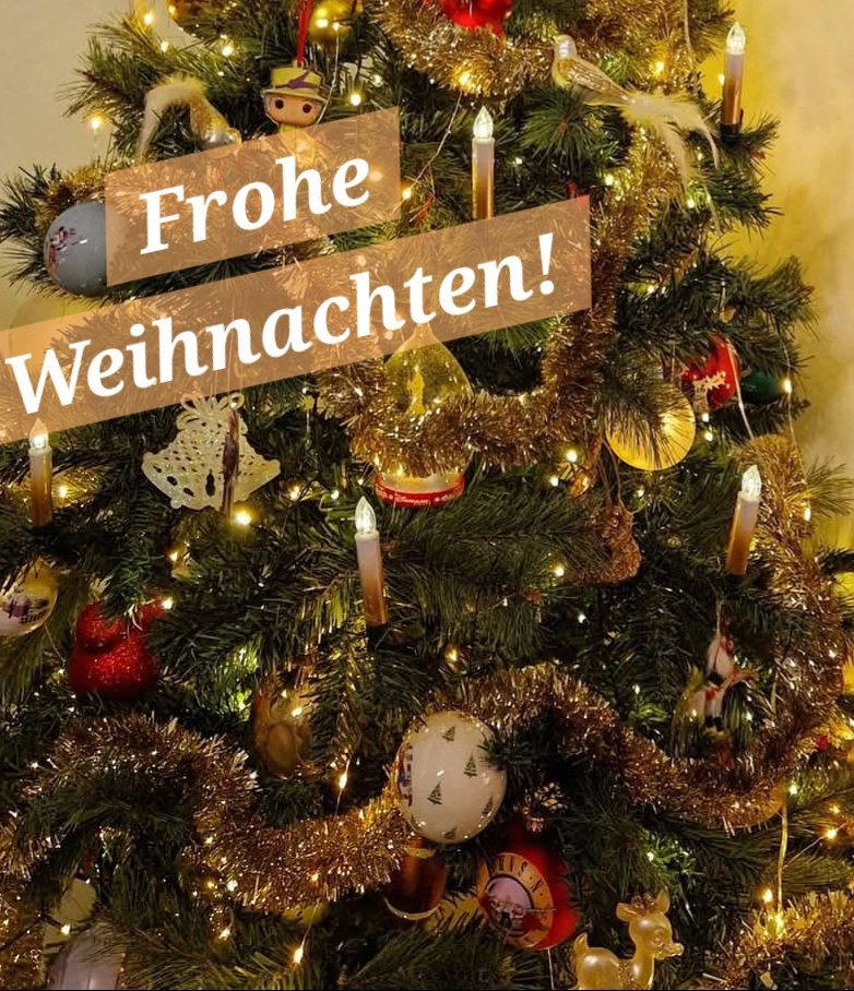 Marcus Holzer tweet media