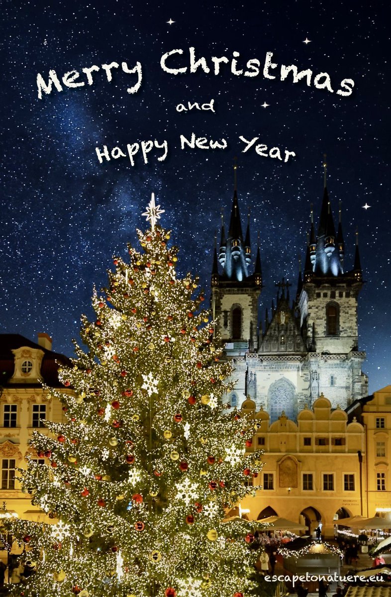 Escape to Nature tweet media