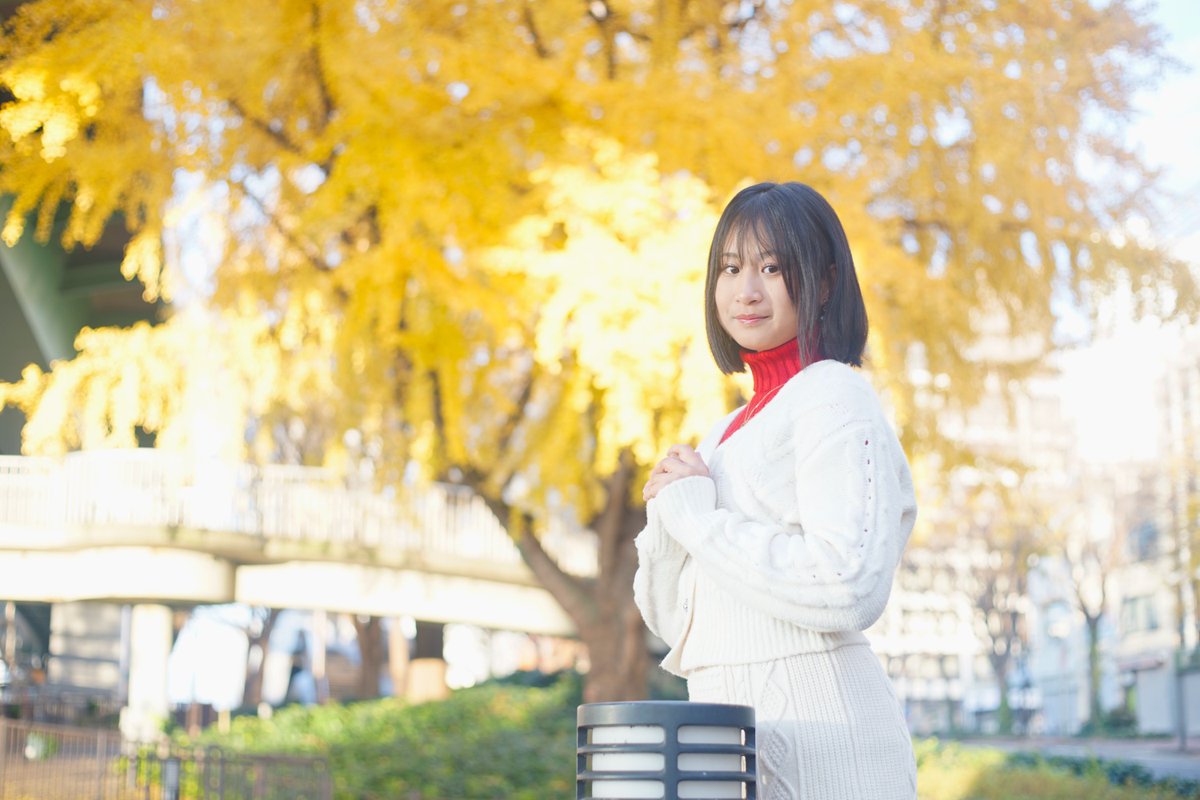 kinari_path's tweet image. イチョウの黄葉

初めましての莉緒さん
黒髪ボブが最強に可愛いです
早朝ポートレートありがとうございました
　　　
莉緒さん @ri_o_o_77
サンセット撮影会 @bmwm318cimsport
　　
#ポートレート
#ガールズフォト
　
たぶん9年ぶりにサンセット撮影会さんに参加しました。あの頃が懐かしい。