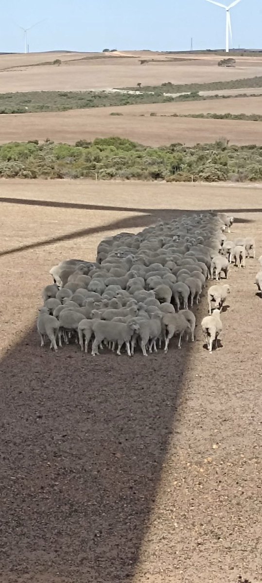 MarkOgge's tweet image. 