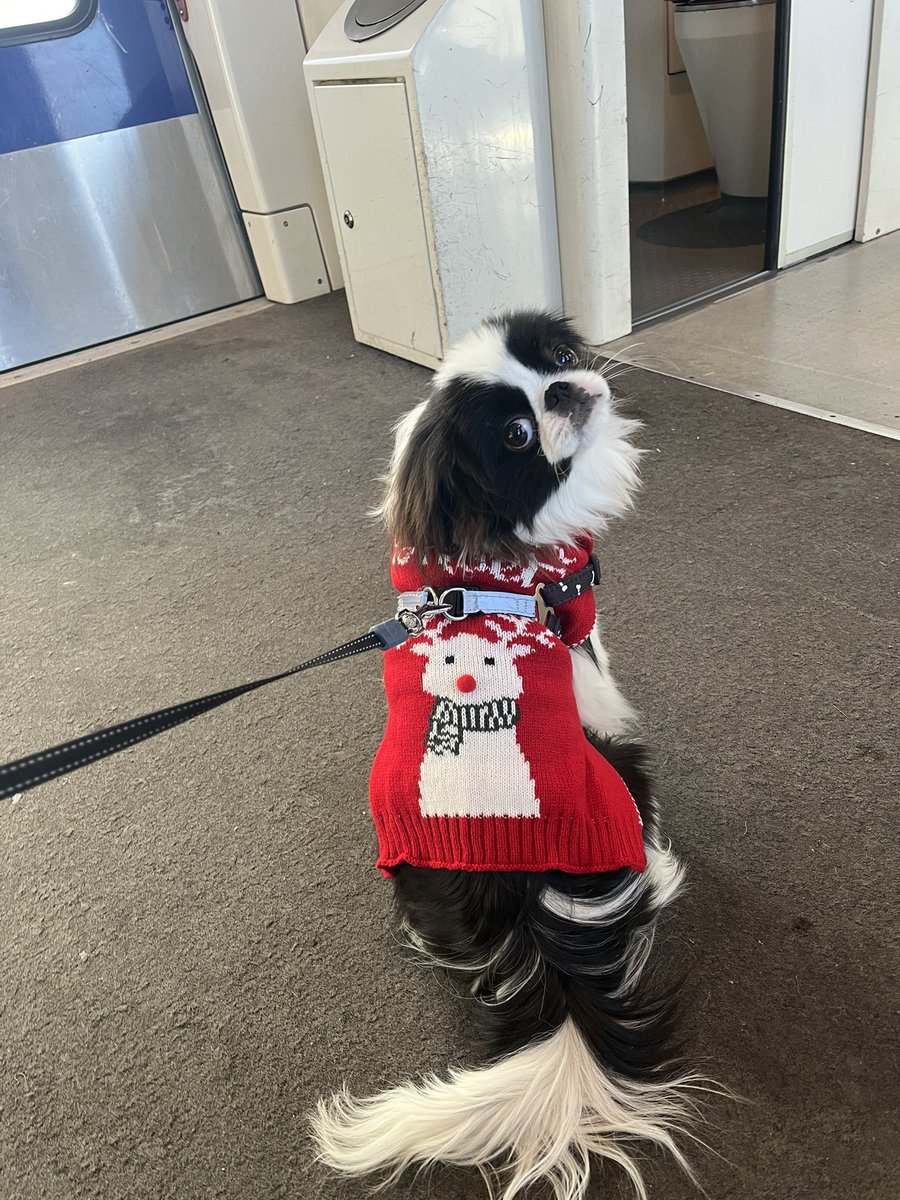 Bonnes fêtes de fin d’année !