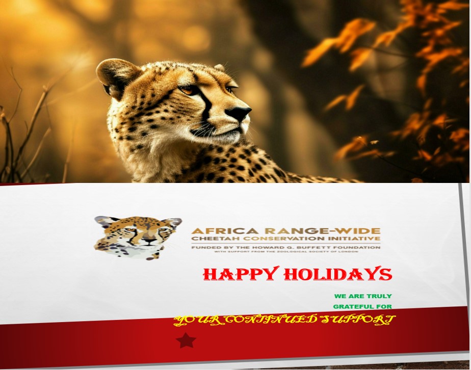 HAPPY HOLIDAYS!
Season’s greetings are coming from the African Range-wide Cheetah Conservation Initiative (CCI) of the Howard G. Buffett Foundation (HGBF), supported by the Zoological Society of London (ZSL). We wish you a Merry Christmas and a Prosperous year 2025.