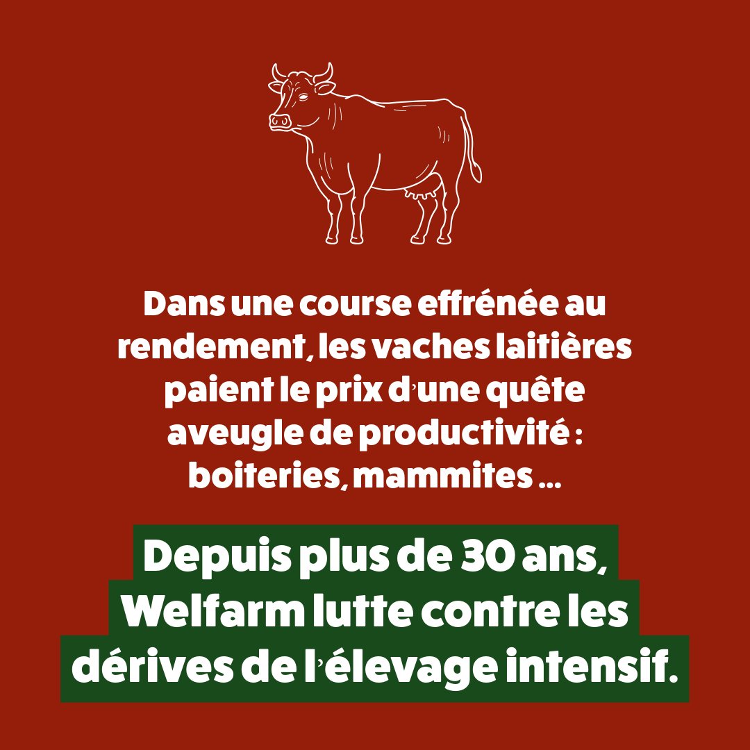 ❌ Les animaux ne sont pas des machines : stop à la course au rendement !