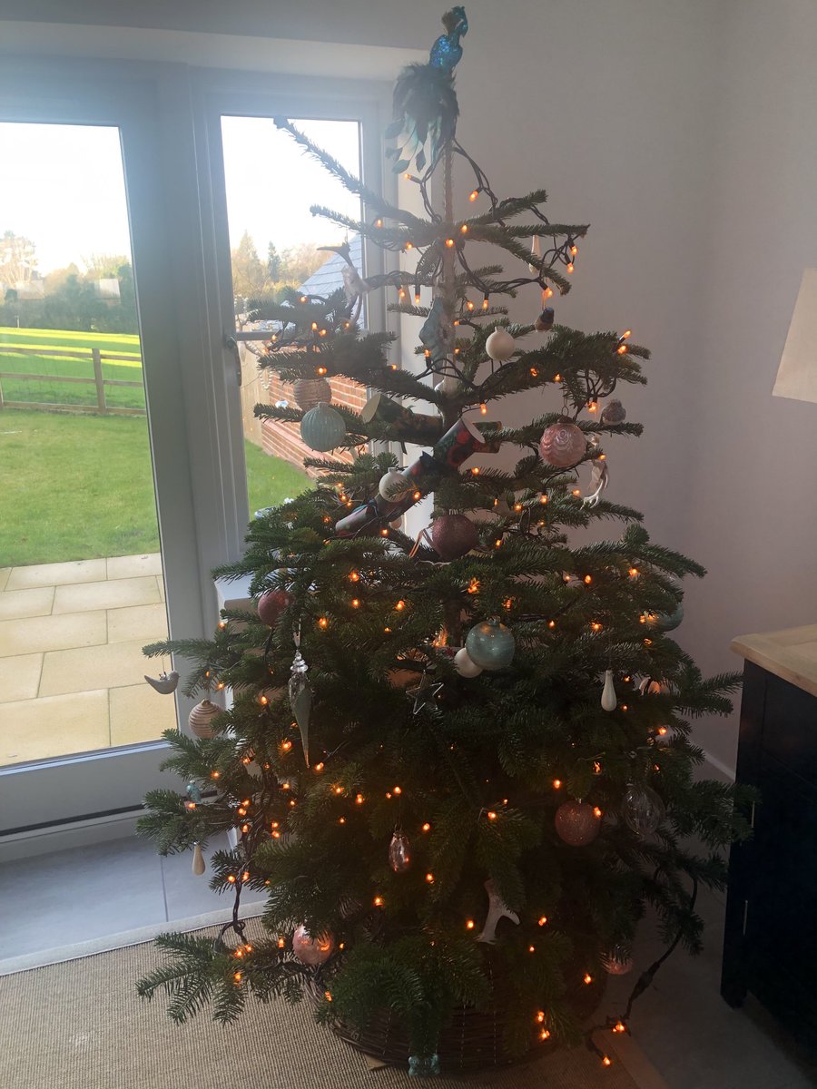 A very happy Christmas to all our followers 🌲🌲