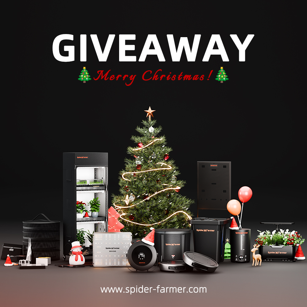 🎄Merry Christmas &amp; Happy New Year Giveaway!🎉
Set up your indoor garden with Spider Farmer!
🎁Prizes: Pick one product from the image below!
Enter:
1.Follow
2. Like &amp; Repost
3.Tag 3 friends &amp; share your Christmas  setup!
Learn more:spider-farmer.com
#spiderfarmer #giveaway