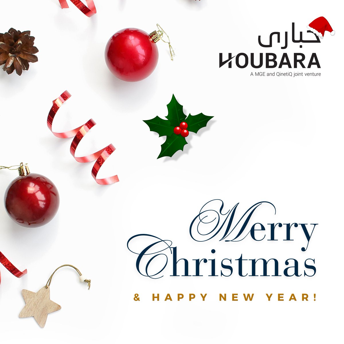 Season's greetings from all of us at <a href="/HoubaraDefence/">Houbara Defence & Security</a>  ❄️
