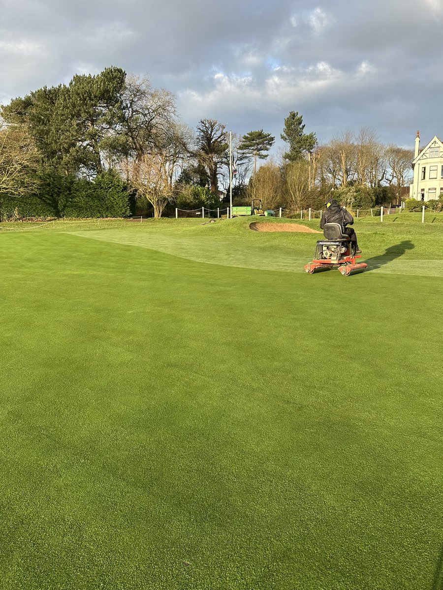 berto74cafc tweet media