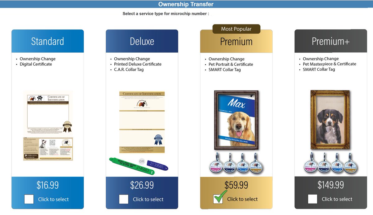 Jeff Shillitto tweet media