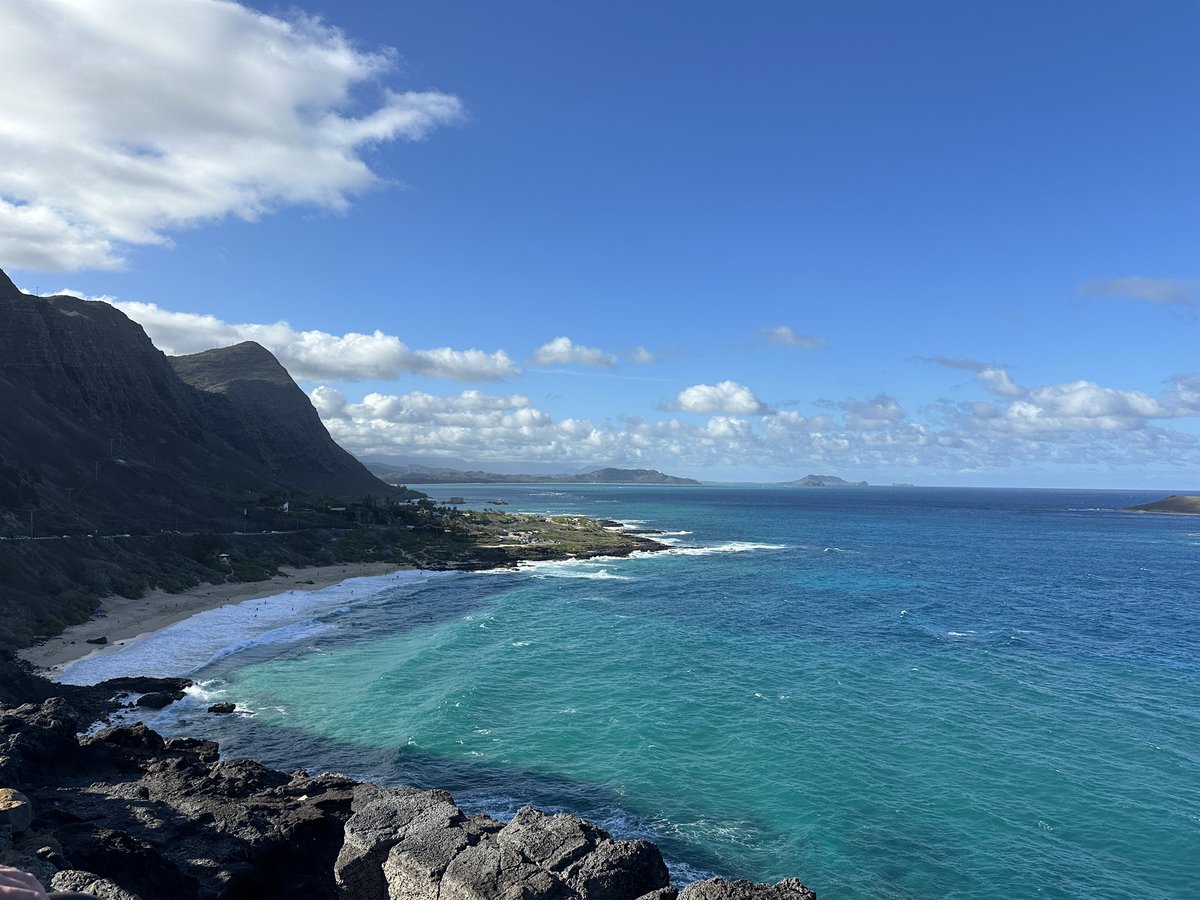 maverick tweet media