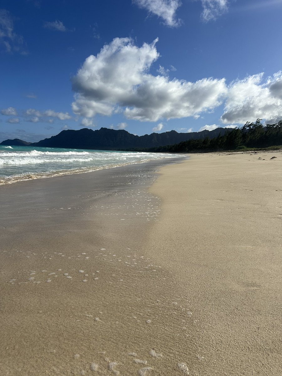 maverick tweet media