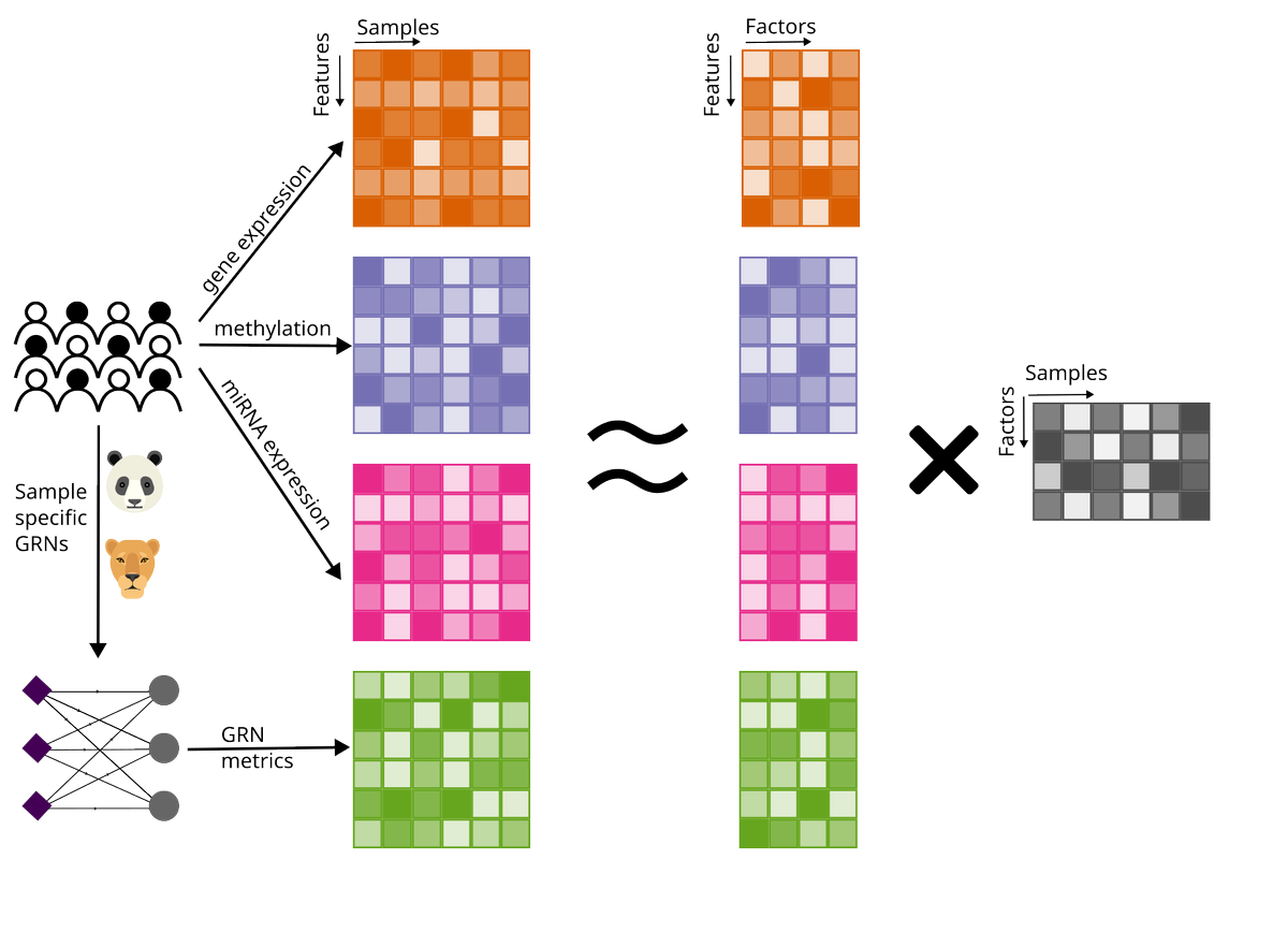 🎄🎁 Christmas preprint alert! 🎁🎄
We present a novel approach to integrating patient-specific gene regulatory network models (GRNs) with multi-omics data to enhance cancer survival predictions 🧬📊
👉 Read it on BioRxiv: biorxiv.org/content/10.110…
🧵 Highlights below!