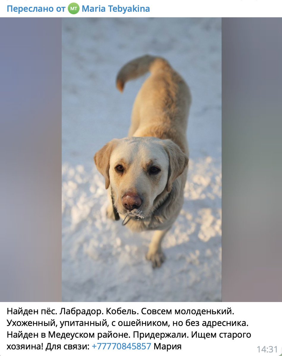 Алматы, чей бася?