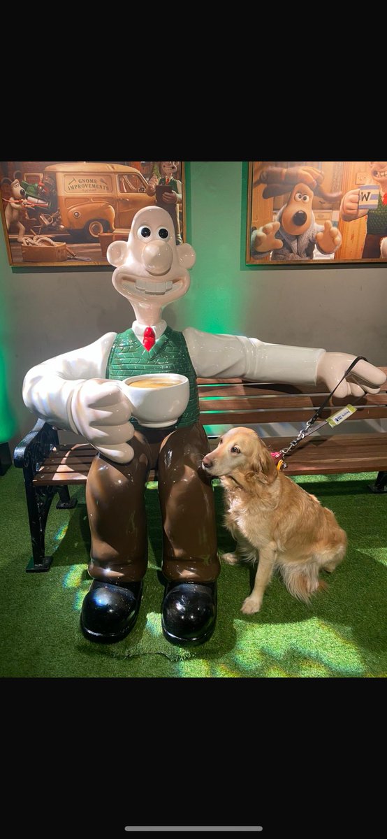 One more sleep until we discover if I was successful in my audition to play Gromit <a href="/BBCOne/">BBC One</a>
