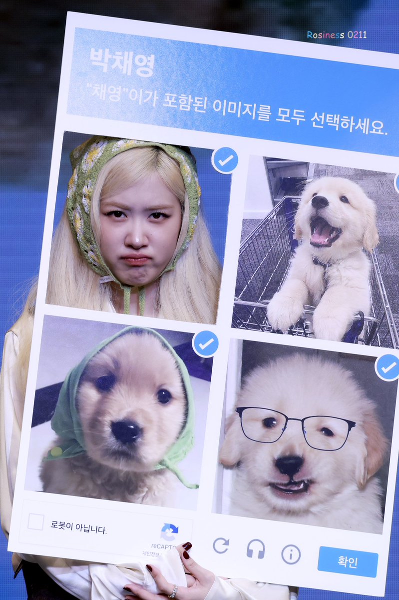 Rosiness_of0211's tweet photo. 241221🤍rosie 팬싸 HQ

🪽 https://t.co/AoiO3vFr6b
🪽 https://t.co/31ac4iixS0
🪽 https://t.co/9fngid4Mxp

#로제 #rosiebyROSÉ #ROSÉ 🫧
#ROSÉ_rosie #rosesarerosie https://t.co/uANepe59ur