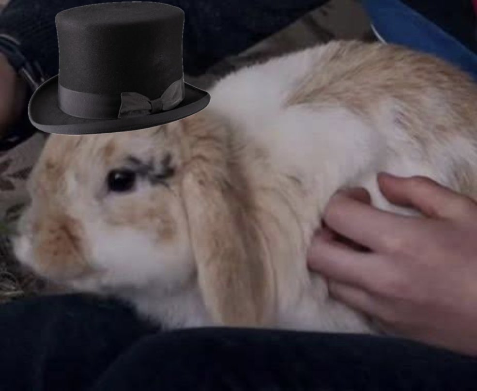 aaagoldenglobes's tweet photo. 📣 GUEST HOST ANNOUNCEMENT 📣 

We are DELIGHTED to finally announce the esteemed list of GUEST HOSTS who will be presenting awards this coming Boxing Day 

Mrs Hart 
Jac Schaffer 
Señor Scratchy and 
Bohnerrific69

Stay tuned for more updates! ⭐️⭐️ https://t.co/VPsQtZSZA9