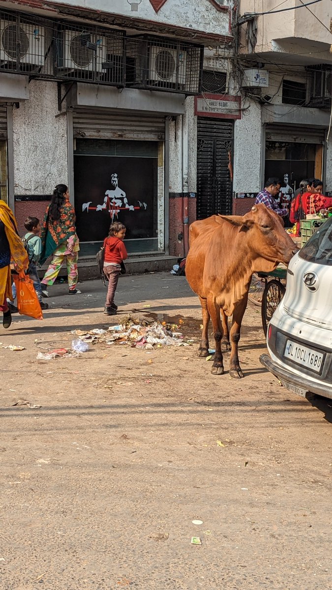 yaskap94's tweet photo. @MCD_Delhi @DelhiPwd  Public square in Punjabi basti has become a garbage dump spot in the area. It stinks, animals spread the garbage all over, cows roam and dump here. It smells. Please act on this. Have filed a complaint, no action yet. https://t.co/AowqqQ8aTq