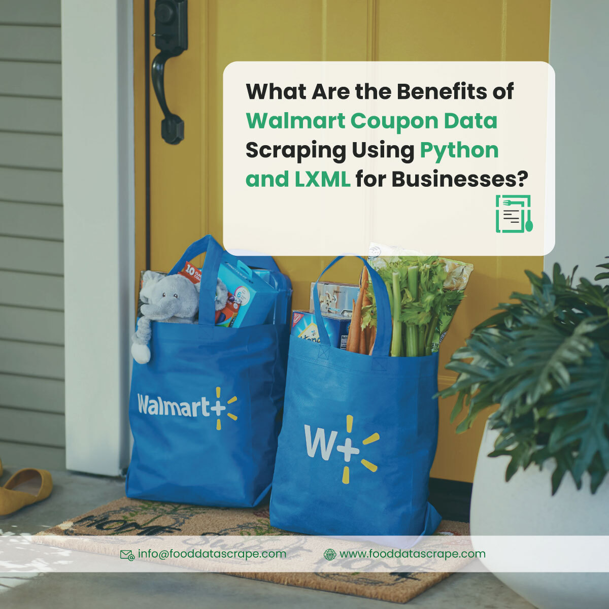 fooddatascrape's tweet image. Utilize #WalmartCouponDataScraping #UsingPython and #LXML to collect and analyze discount offers efficiently.
Read More>>fooddatascrape.com/walmart-coupon…
#WalmartCouponScrapingWithPython
#ExtractWalmartCouponsWithLXML
#USA #UK #UAE #India